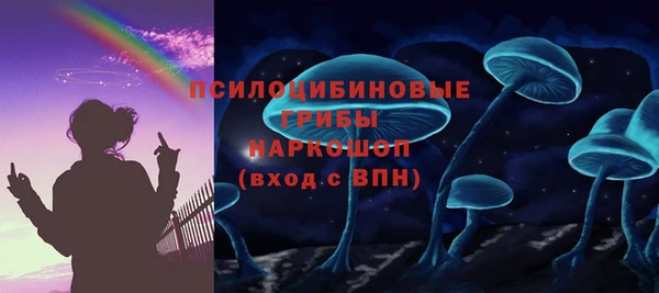 Альфа ПВП Алзамай