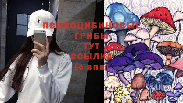 дурь Алексин
